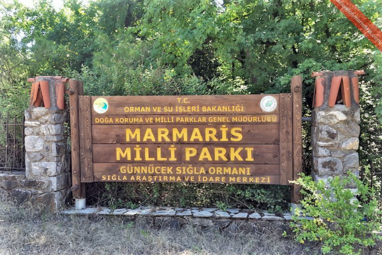 Milli parklara ziyaretçi sayısı 2022’de 61 milyona yaklaştı