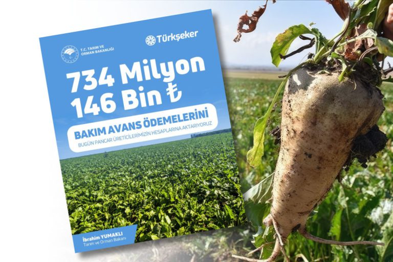 Pancar Bakım Avans ödemesi