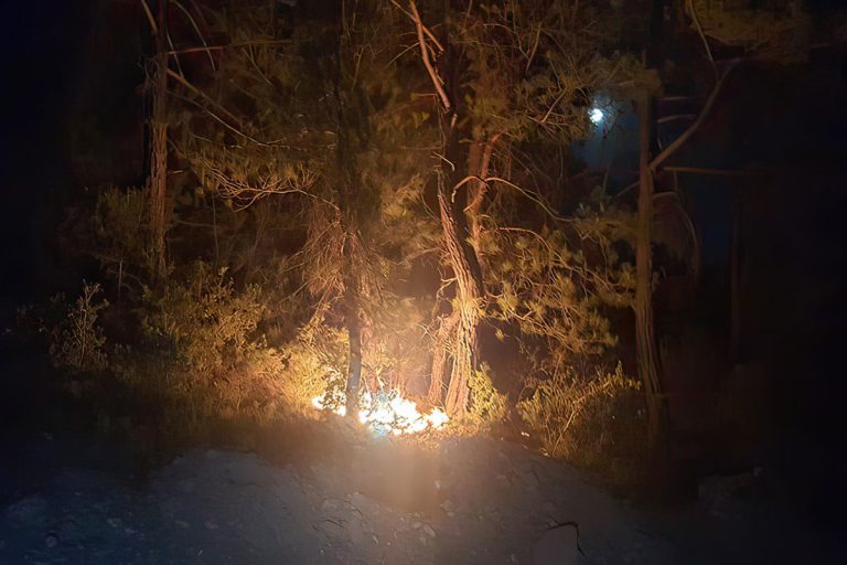 Adana Feke orman yangını