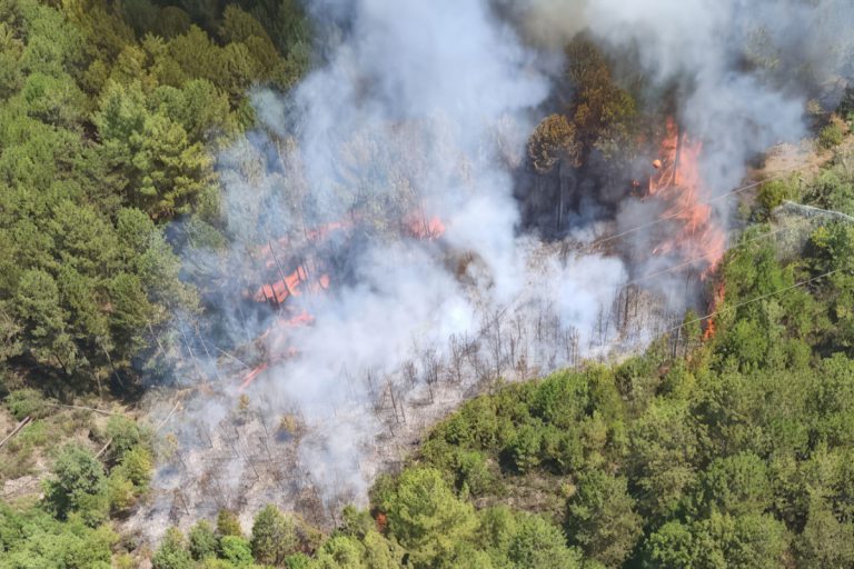 Muğla orman yangını