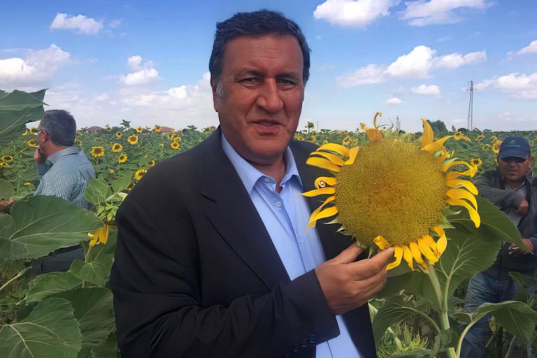 Ömer Fethi Gürer ayçiçek fiyatı